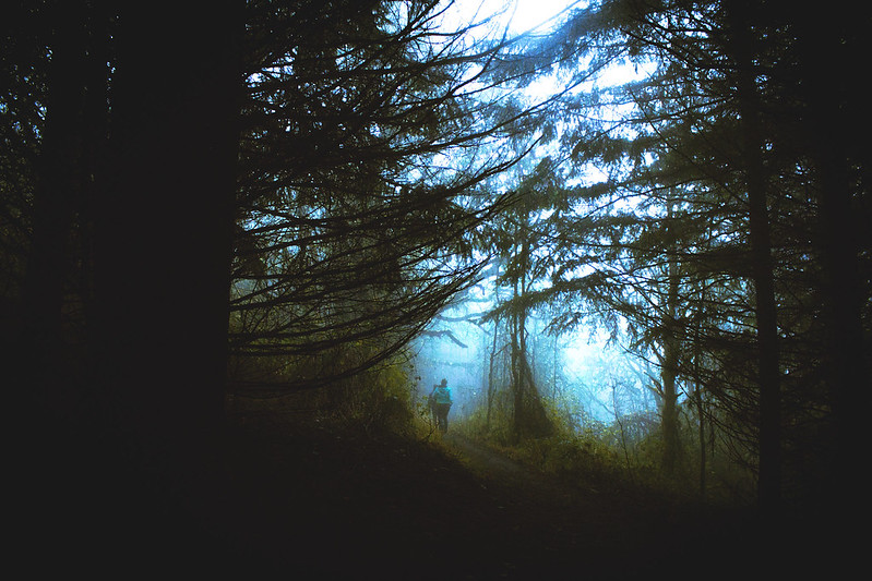 hiking in Corvallis