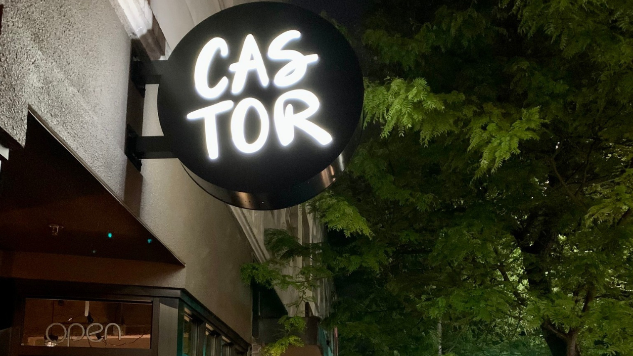 Castor sign